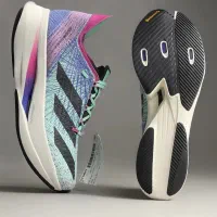 کفش|کیف، کفش، کمربند|چالوس, |دیوار