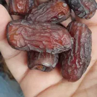 خرمای پیارم جنوب درجه یک امسال