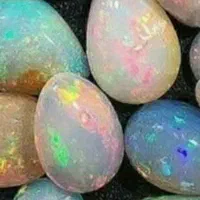 عروس لوتینو معاوضه بابرزیلی