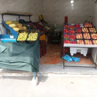 پالت سبک و سنگین میوه