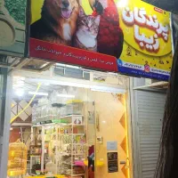 خاک گربه-غذا گربه و سگ-عروس هلندی-پت شاپ