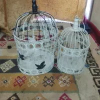 قفس پرنده
