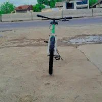 دچرخه 24|دوچرخه، اسکیت، اسکوتر|تولم شهر, |دیوار