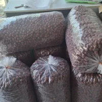 عناب و گردو تازه و باکیفیت|حراج|الیگودرز, |دیوار