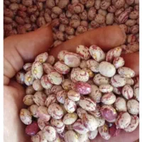 تخفیف ویژه ی بلک فرایدی بر روی همه اجناس|خوردنی و آشامیدنی|اصفهان, لنبان|دیوار