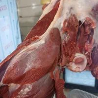 گوشت شترمرغ و بره