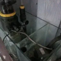 آکواریوم شور با شیشه مخصوص با وسایل خارجی|ماهی|تبریز, |دیوار