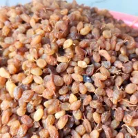 کشمش بی دانه درجه یک تازه سال|خوردنی و آشامیدنی|کامیاران, |دیوار