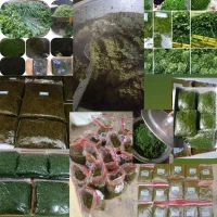 سبزی خورشتی|خوردنی و آشامیدنی|میانکوه, |دیوار