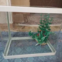 اکواریوم شیشه خم