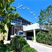 استخدام نیرو در سبد سازی سلیمانی-سیدان