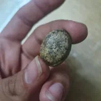 سنگ فیروزه|جواهرات|جهرم, |دیوار