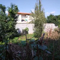 زمین