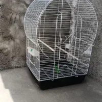 قفس پرنده ... فروشی