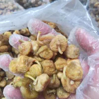 انجیر خشک کاشمر