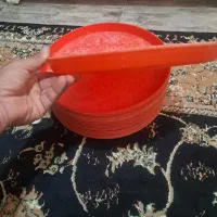 سینی دانخوری جوجه