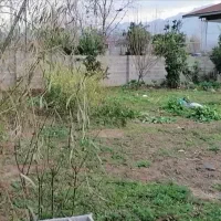 زمین-منگوده-بر-دوم-جاده-اصلی-500-متری