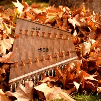 مرکز تخصصی آموزش ساز سنتور و موسیقی (فروش و کوک)|سازهای سنتی|یزد, |دیوار