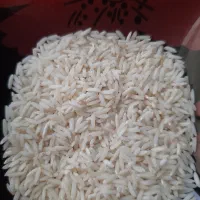 برنج هاشمی محلی درجه ۱
