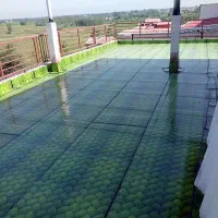 ایزوگام و قیروگونی