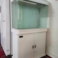 اکواریوم k800 تمیز سالم با پایه|ماهی|مشهد, راه آهن|دیوار