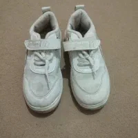 ک ف ش|کیف، کفش، کمربند|زاهدان, |دیوار