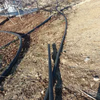 لوله بارانی