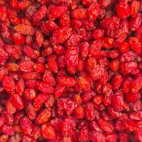 تخمه ورزشک پلویی درجه یک زیر قیمت بازار