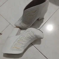 کفش مجلسی