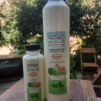 شیر پاستوریزه بز