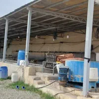 فروش-ششدانگ-باسه-دانگ-از-قالیشویی