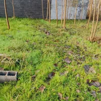 سنددار،مسکونی،نقدواقساط،تاپ لوک ویو