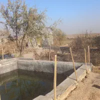 با عرض سلام باغچه ای بدون برق ودارایاب|اجارهٔ کوتاهمدت ویلا و باغ|سلفچگان, |دیوار