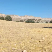 اجاره زمین کشاورزی