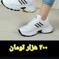 کفش گارانتی دارمستقیم ازکارخانه نصف قیمت|کیف، کفش، کمربند|مراغه, |دیوار