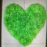 پادری ترک زیبا و قابل شستن درلباسشویی