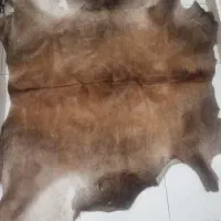 فرش پوست گاوی اعلا