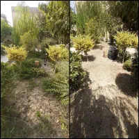 خدمات حرفه‌ای فضای سبز ، ویزیت رایگان|خدمات باغبانی و درختکاری|کرج, فاز ۳ مهرشهر|دیوار