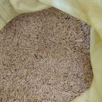 جو آبی