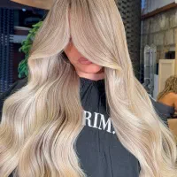 دستیار حرفه ای رنگ و مش