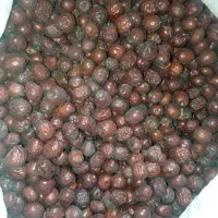 مقدار 600 کیلو عناب گوشتی درهم