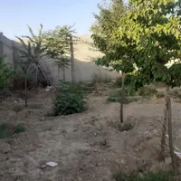 باغ درختکاری شده