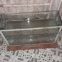 آکواریوم|ماهی|خرمشهر, |دیوار