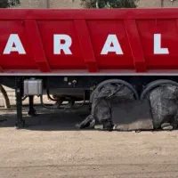 تریلی مارال مدل 1404