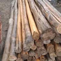 هرص و برش چوب در باقات شما عزیزان|خدمات باغبانی و درختکاری|اراک, |دیوار