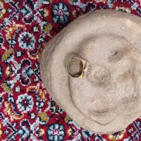 فسیل ماقبل تاریخ|کلکسیون اشیاء عتیقه|مشهد, امام رضا (ع)|دیوار