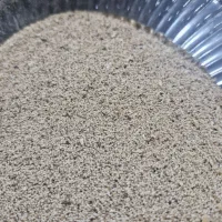 بذر گیاه عطاری هلندی