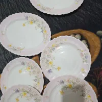 آرکوپال الیز فرانسه|ظروف سرو و پذیرایی|تهران, تهرانسر شمالی|دیوار