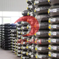 لاستیک میشلن Michelin bmw/forza/xmax/nmax/adv