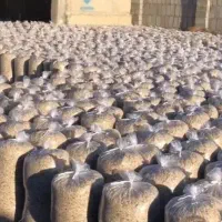 تفاله چغندر